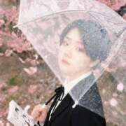 ヒメ日記 2026/03/20 13:35 投稿 さつき ナチュラルプリンセス