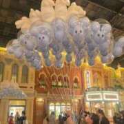 ヒメ日記 2026/03/21 13:55 投稿 さつき ナチュラルプリンセス