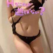 ヒメ日記 2025/07/23 01:30 投稿 七瀬　れな #性欲解放区　梅田人妻性感デトックス