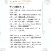 ヒメ日記 2026/02/15 08:49 投稿 流川　しえら OLピンクコレクション