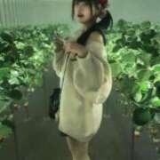 ヒメ日記 2026/03/23 11:08 投稿 奏奈-Kana- 姉新地