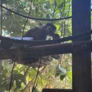 るるか たくさんオプションありがとう！ 上野ハンドメイド