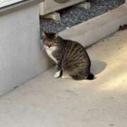 ヒメ日記 2025/12/12 12:24 投稿 るるか 上野ハンドメイド