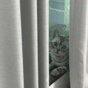 ヒメ日記 2025/12/12 12:32 投稿 るるか 上野ハンドメイド