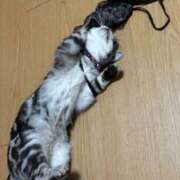 ヒメ日記 2026/01/25 10:53 投稿 るるか 神田ハンドメイド