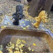 ヒメ日記 2026/01/02 16:05 投稿 北川あいる セカンドパートナー