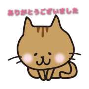 ヒメ日記 2025/06/29 01:24 投稿 熟女 あおい ハナミズキ