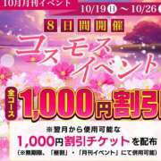 ヒメ日記 2025/10/19 16:48 投稿 熟女 あおい ハナミズキ