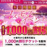 ヒメ日記 2025/10/24 16:56 投稿 熟女 あおい ハナミズキ