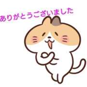 ヒメ日記 2025/11/03 06:32 投稿 熟女 あおい ハナミズキ