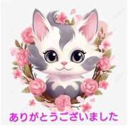 ヒメ日記 2025/11/09 23:20 投稿 熟女 あおい ハナミズキ