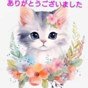 ヒメ日記 2025/11/23 04:40 投稿 熟女 あおい ハナミズキ