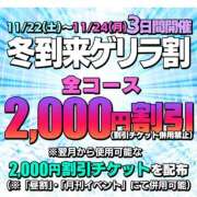 ヒメ日記 2025/11/23 15:42 投稿 熟女 あおい ハナミズキ