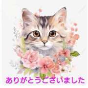 熟女 あおい 23（日）のお礼 ハナミズキ