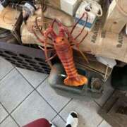 ヒメ日記 2025/09/27 17:38 投稿 ひかり Applepie（アップルパイ）