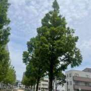 ヒメ日記 2025/10/07 15:38 投稿 ひかり Applepie（アップルパイ）