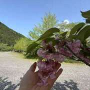 ヒメ日記 2025/10/08 12:05 投稿 ひかり Applepie（アップルパイ）