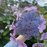 ヒメ日記 2025/10/08 17:58 投稿 ひかり Applepie（アップルパイ）