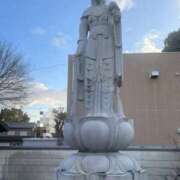 ヒメ日記 2025/10/16 16:35 投稿 ひかり Applepie（アップルパイ）