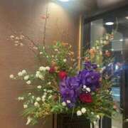 ヒメ日記 2025/10/20 02:12 投稿 ひかり Applepie（アップルパイ）