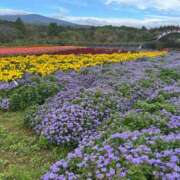 ヒメ日記 2025/10/20 23:36 投稿 ひかり Applepie（アップルパイ）