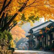 ヒメ日記 2025/10/25 04:40 投稿 ひかり Applepie（アップルパイ）