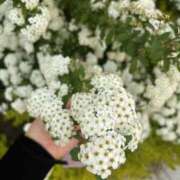 ヒメ日記 2025/10/25 13:44 投稿 ひかり Applepie（アップルパイ）