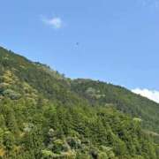 ヒメ日記 2025/10/27 02:53 投稿 ひかり Applepie（アップルパイ）