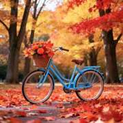 ヒメ日記 2025/10/28 22:23 投稿 ひかり Applepie（アップルパイ）