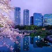 ヒメ日記 2025/10/29 02:44 投稿 ひかり Applepie（アップルパイ）