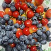 ヒメ日記 2025/10/31 01:38 投稿 ひかり Applepie（アップルパイ）