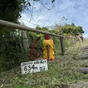 ヒメ日記 2025/11/03 11:53 投稿 ひかり Applepie（アップルパイ）