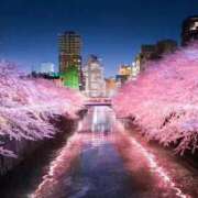 ヒメ日記 2025/11/06 00:54 投稿 ひかり Applepie（アップルパイ）