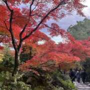 ヒメ日記 2025/11/07 13:40 投稿 ひかり Applepie（アップルパイ）