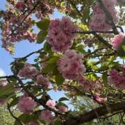 ヒメ日記 2025/11/09 18:52 投稿 ひかり Applepie（アップルパイ）