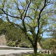 ヒメ日記 2025/11/10 14:12 投稿 ひかり Applepie（アップルパイ）