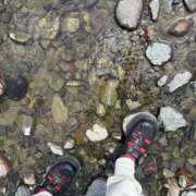 ヒメ日記 2025/11/11 02:38 投稿 ひかり Applepie（アップルパイ）