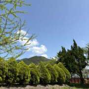 ヒメ日記 2025/11/12 01:50 投稿 ひかり Applepie（アップルパイ）