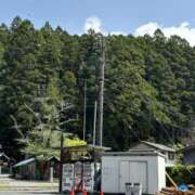 ヒメ日記 2025/11/13 10:51 投稿 ひかり Applepie（アップルパイ）