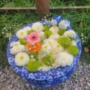 ヒメ日記 2025/11/15 02:16 投稿 ひかり Applepie（アップルパイ）