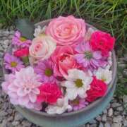 ヒメ日記 2025/11/15 11:58 投稿 ひかり Applepie（アップルパイ）