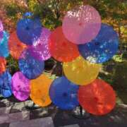 ヒメ日記 2025/11/16 20:15 投稿 ひかり Applepie（アップルパイ）