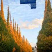 ヒメ日記 2025/11/17 10:41 投稿 ひかり Applepie（アップルパイ）