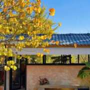 ヒメ日記 2025/12/01 21:15 投稿 ひかり Applepie（アップルパイ）