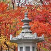 ひかり ❣️💐お疲れ様❣️💐 Applepie（アップルパイ）