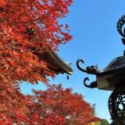 ヒメ日記 2025/12/08 05:31 投稿 ひかり Applepie（アップルパイ）