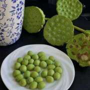 ヒメ日記 2025/12/09 16:57 投稿 ひかり Applepie（アップルパイ）