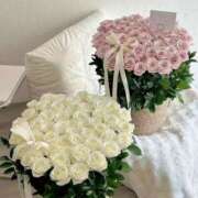 ヒメ日記 2025/12/10 01:53 投稿 ひかり Applepie（アップルパイ）