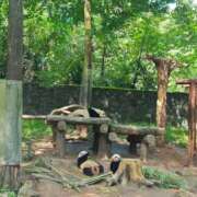 ヒメ日記 2025/12/12 01:45 投稿 ひかり Applepie（アップルパイ）