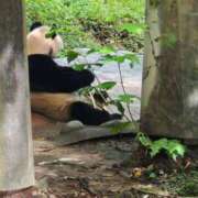 ヒメ日記 2025/12/12 01:51 投稿 ひかり Applepie（アップルパイ）